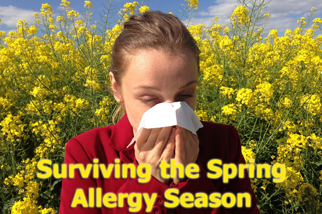 How to Survive the Spring Allergy Season
