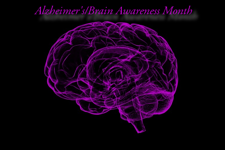 Alzheimer’s/Brain Awareness Month